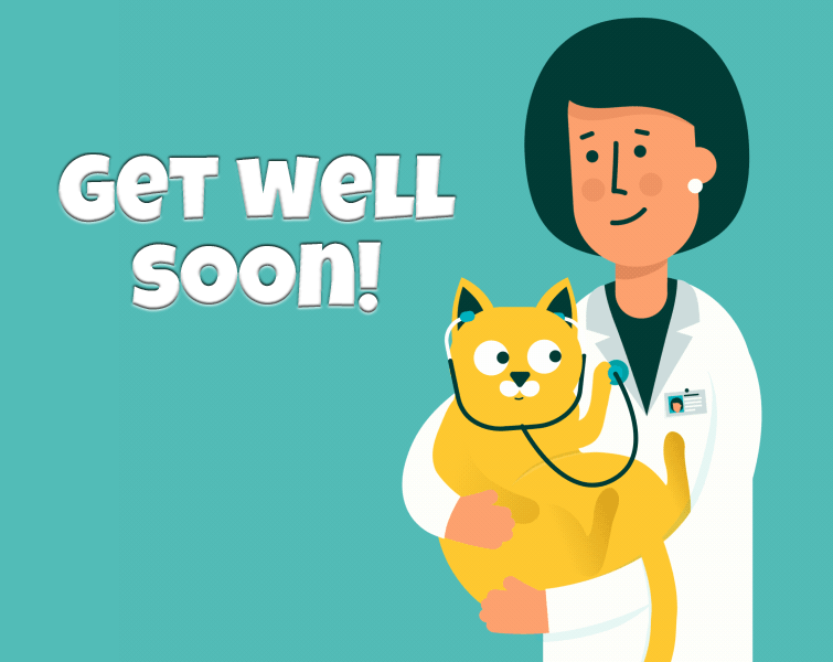 Get Well Soon GIFs 30 Animated Pics And Cards For Free atelieryuwa