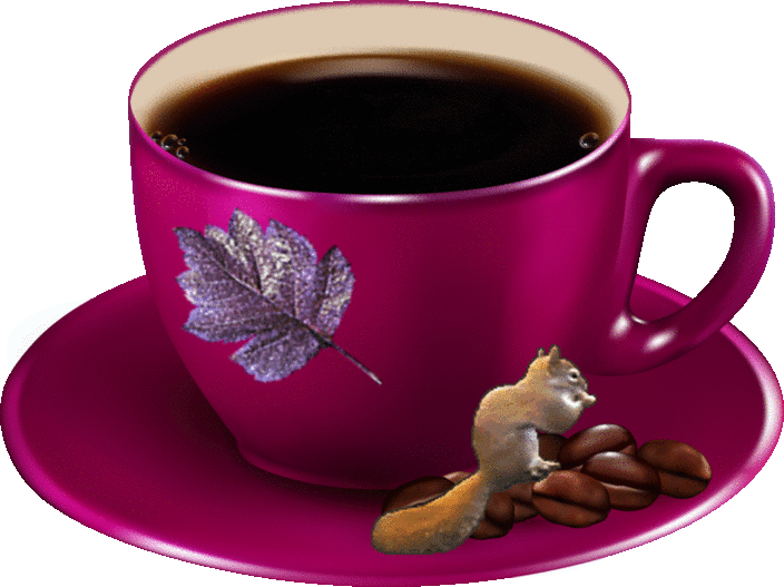 Squirrel Drinking Coffee Gif