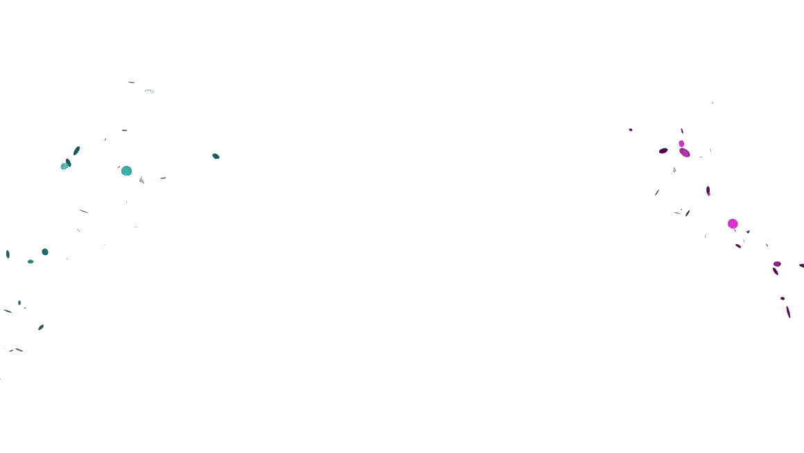 Confetti in GIF Format 55 Animated Images For Free