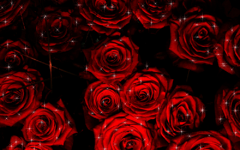 GIFs of Roses Beautiful Bouquets of Different Colors 60 pieces