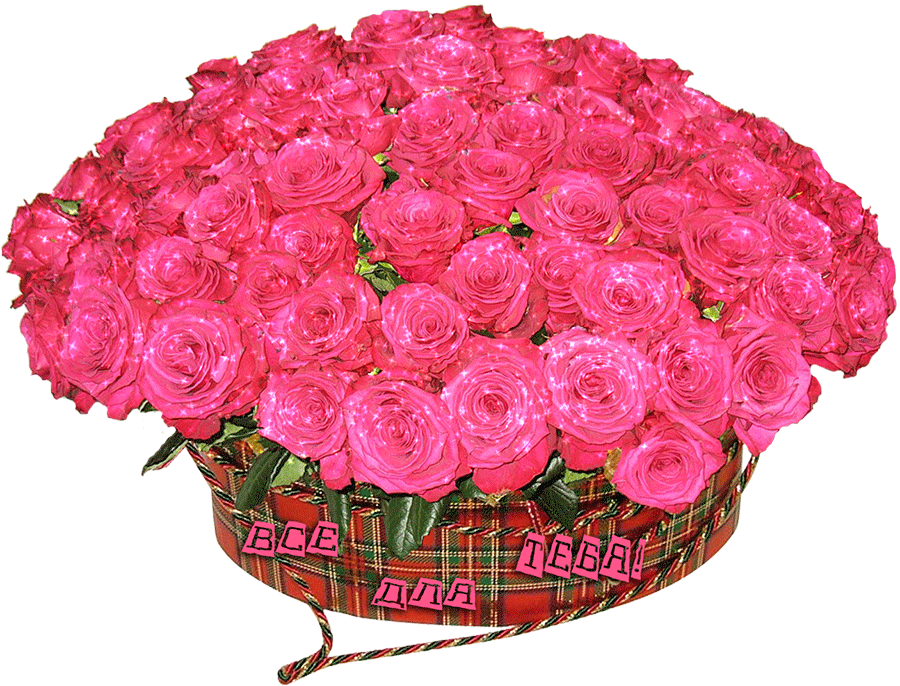 GIFs of Roses Beautiful Bouquets of Different Colors 60 pieces