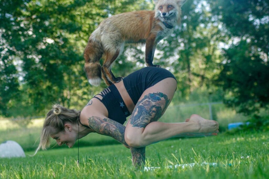 Save A Fox Founder Mikayla Raines Dies by Suicide After Online