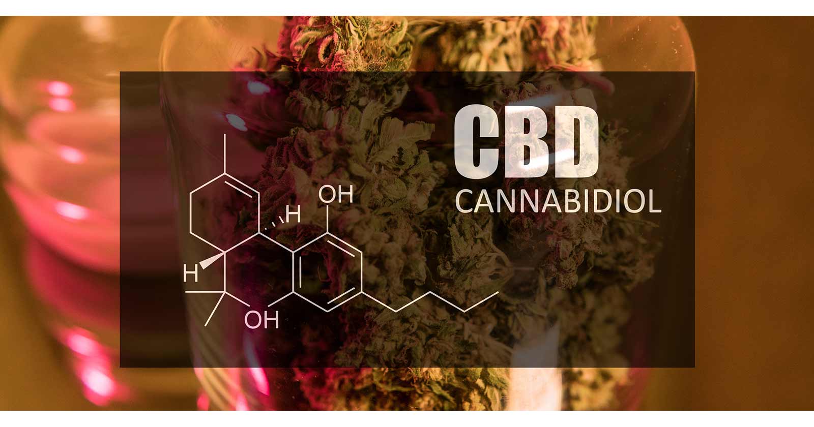 How Long Does CBD Stay in Your System? USA Mobile Drug Testing