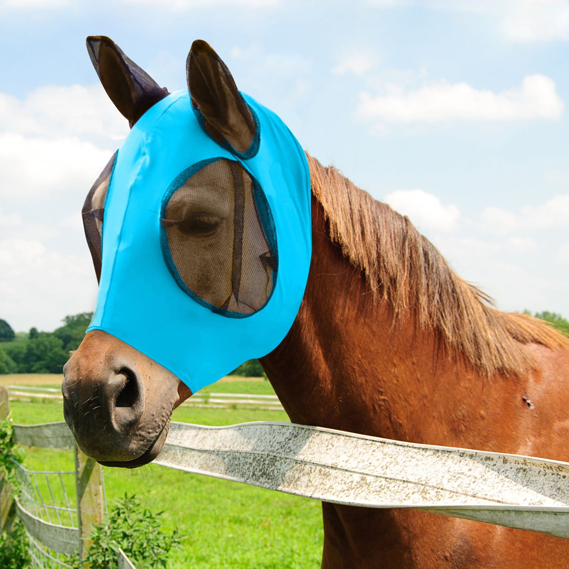 Fly Masks For Horses USAMERICA SHOP