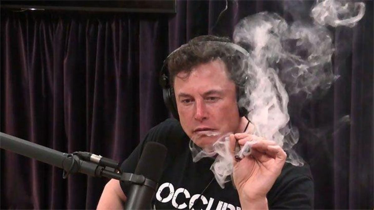 Why Elon Musk's one tweet can make fortune or be the reason of downfall?