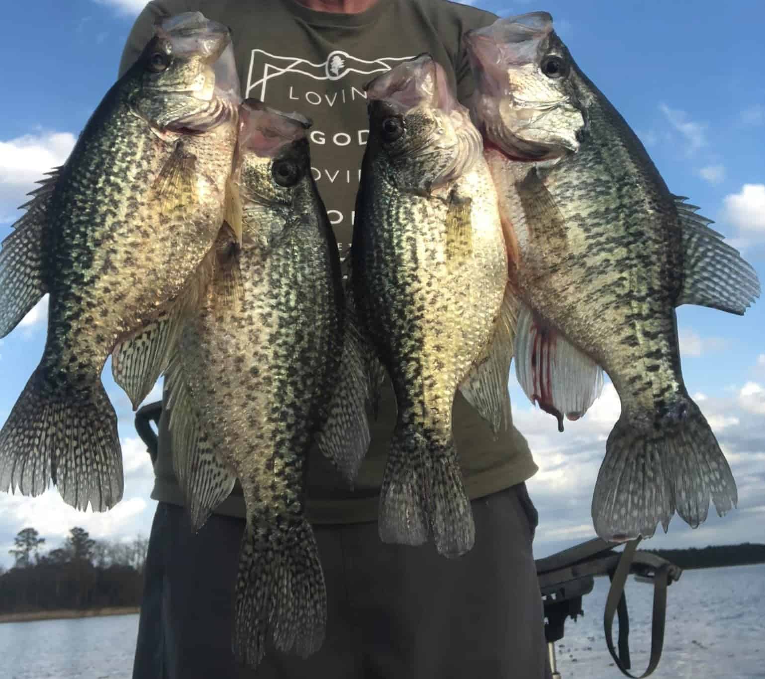 Best Time To Catch Crappie - What Matters Most In 2022!