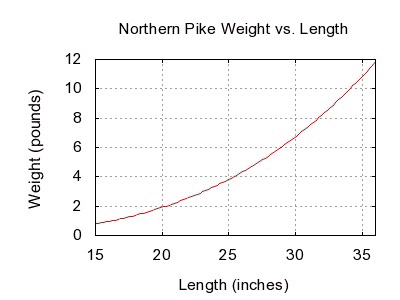 Northern Weight Chart - Ponasa