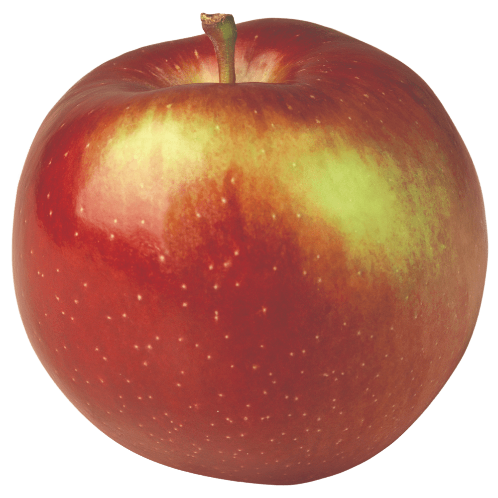 Types Of Apples Pink Lady