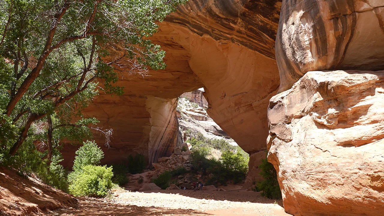 Natural Bridges National Monument Trails, Hotels & Camping