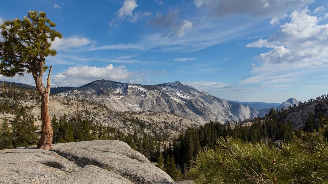 Tioga Road Öffnungstermine für 2020 und aktuelle Straßenbedingungen