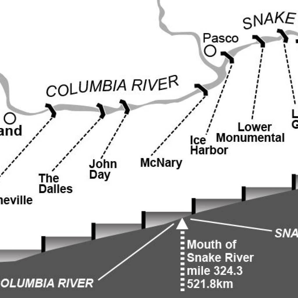 Oh, the Locks You'll Find! USA River Cruises