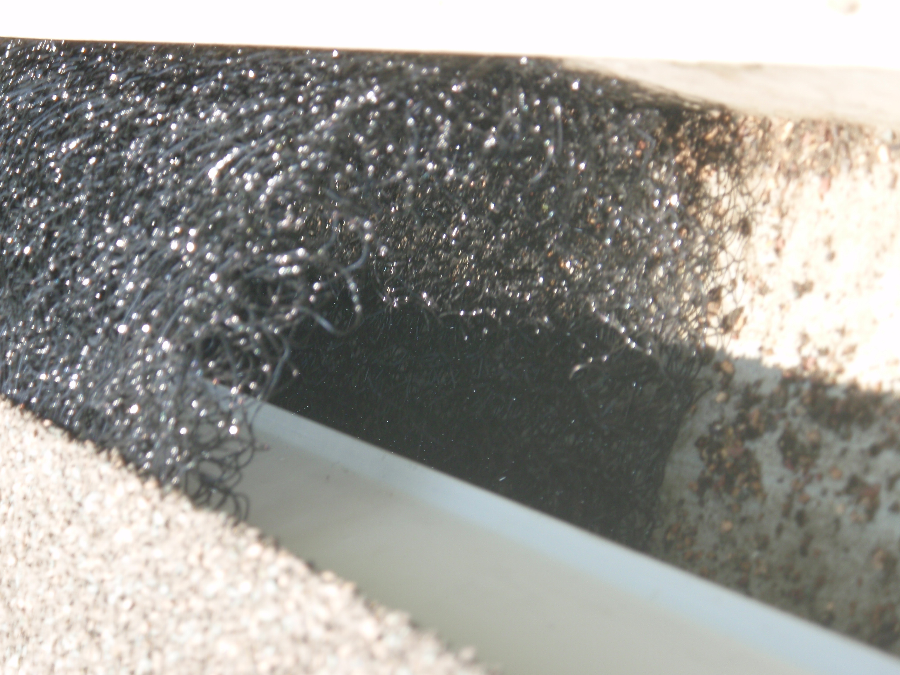 FloFree Leaf Guard Gutters 1 USA Roofing Systems & Exteriors, LLC