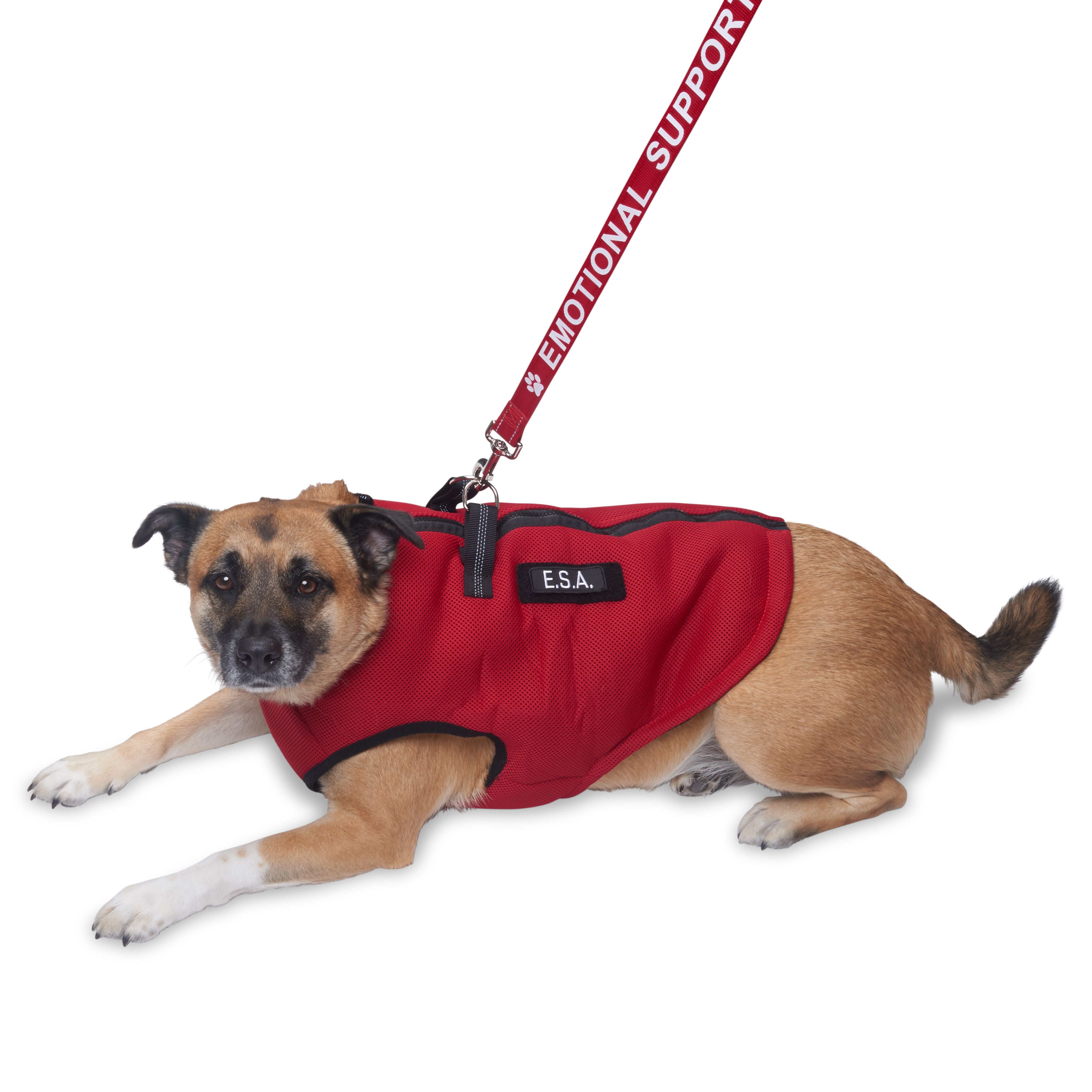 Service Dog & Emotional Support Dog Shop Vests / Harnesses USA