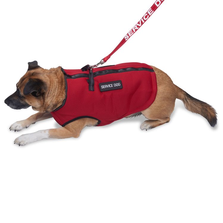 Service Dog Mesh Vest USA Service Dogs