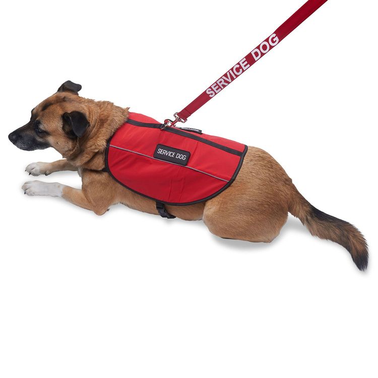 Service Dog Vest USA Service Dogs