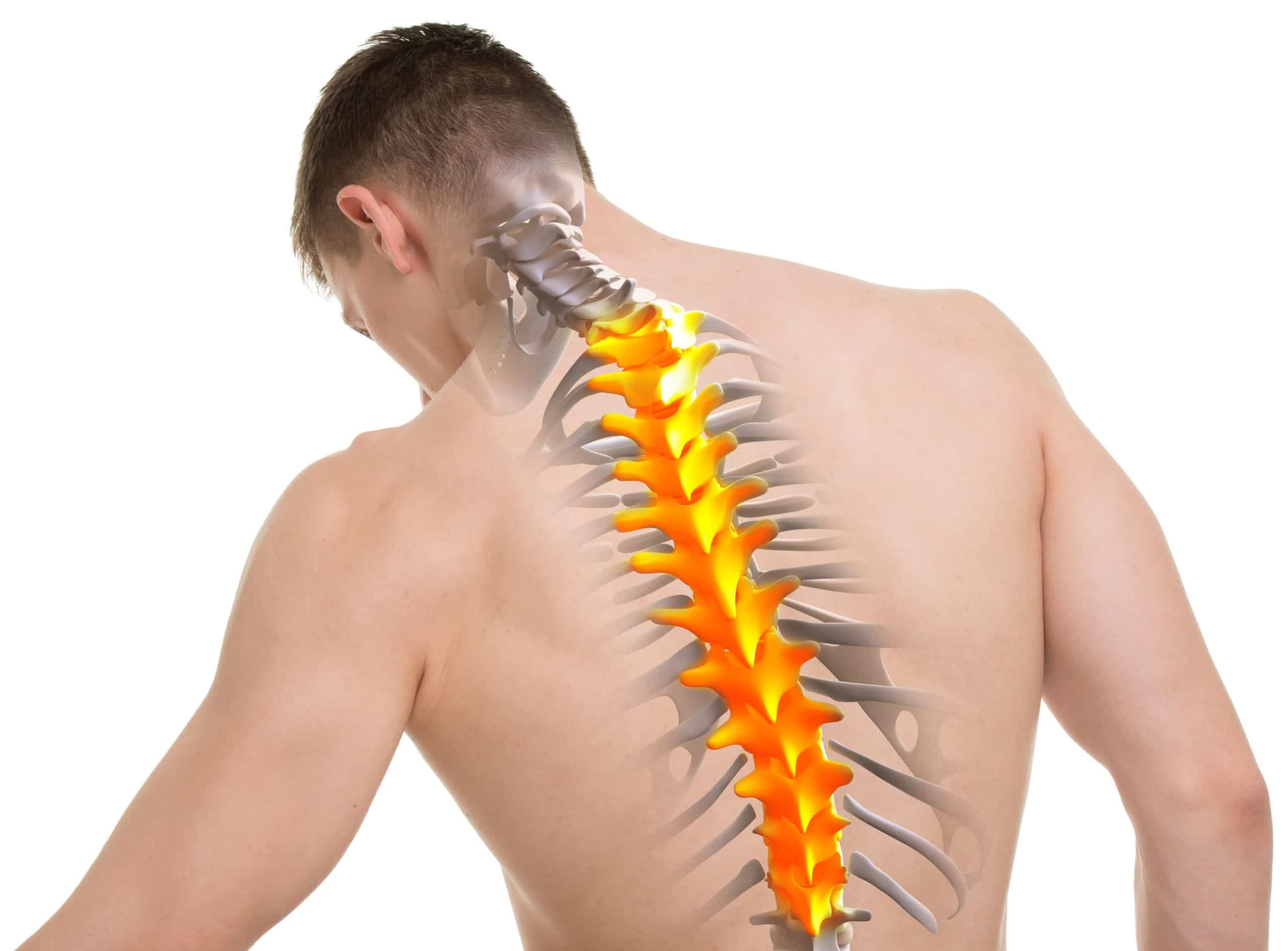 Unlocking the Thoracic Spine Exercises for Shoulder Pain Relief USA