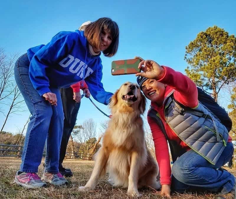 Dog Adoption NYC The Best Guide to the Process