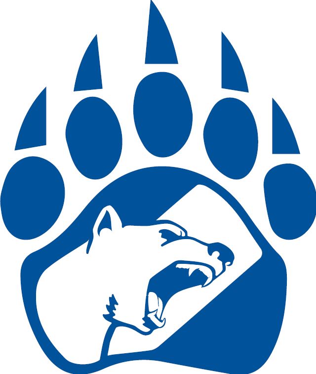 Polar Bear Flag Polar Bear Logos And Sports Logos