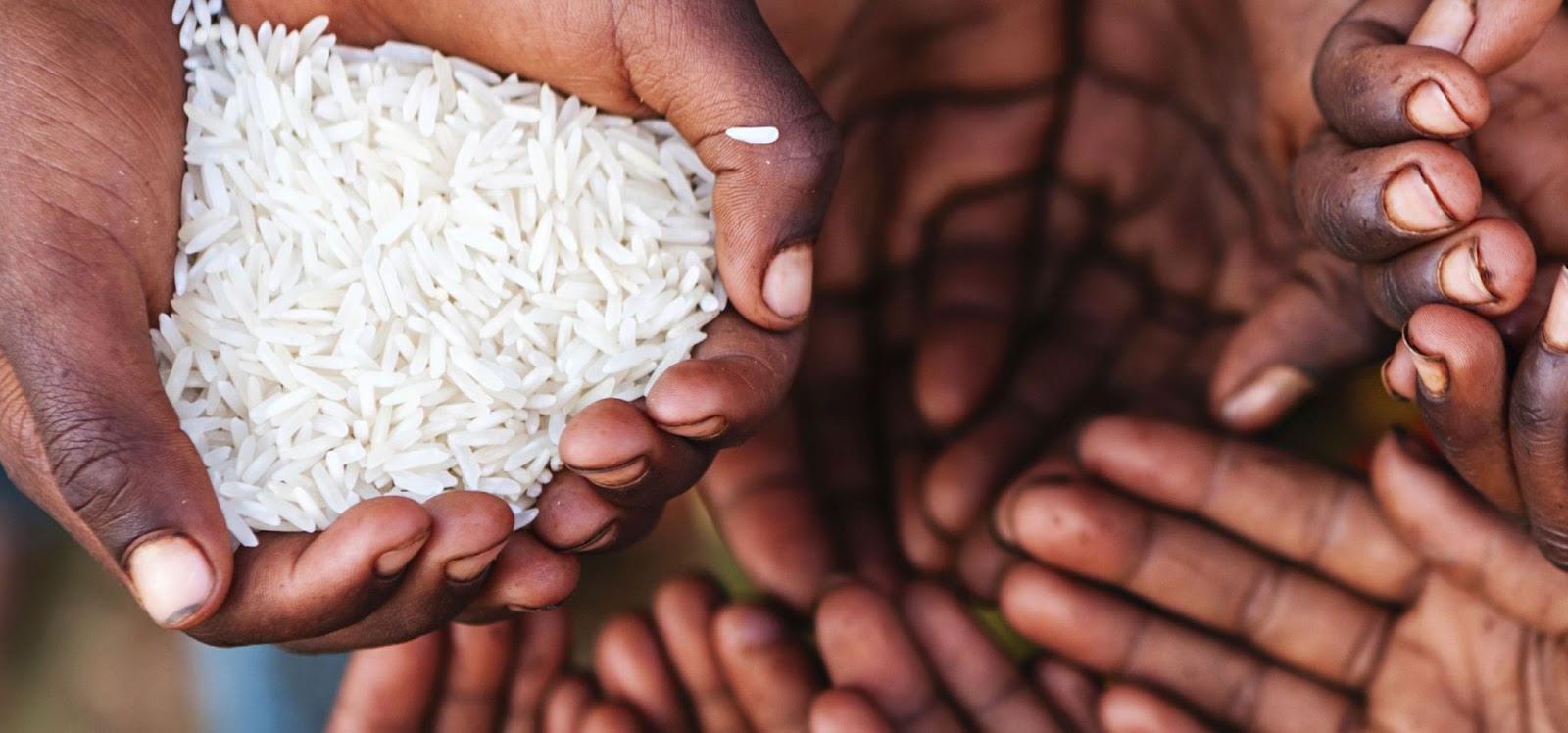 Stand Against World Hunger with The World Food Bank