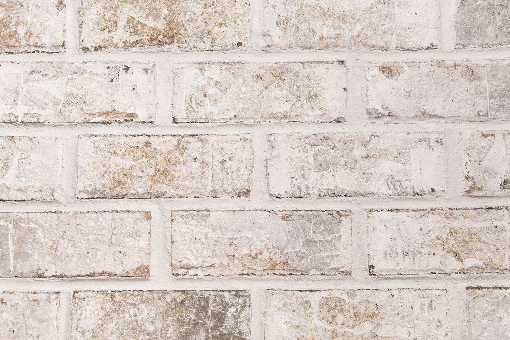 Magnolia Queen US Brick