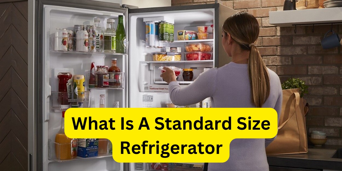 What Is The Standard Size Of A Refrigerator? US Bring