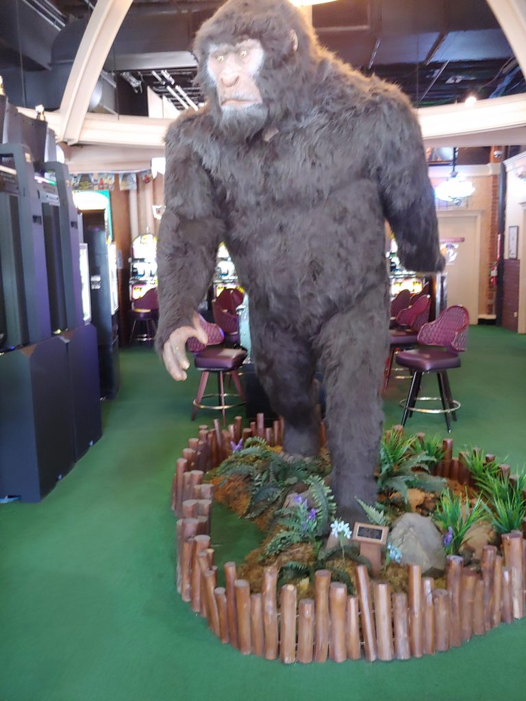 Sasquatch Casino in Black Hawk, Colorado