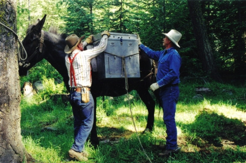 U.S. Cavalry School Programs Packing and Equine handling