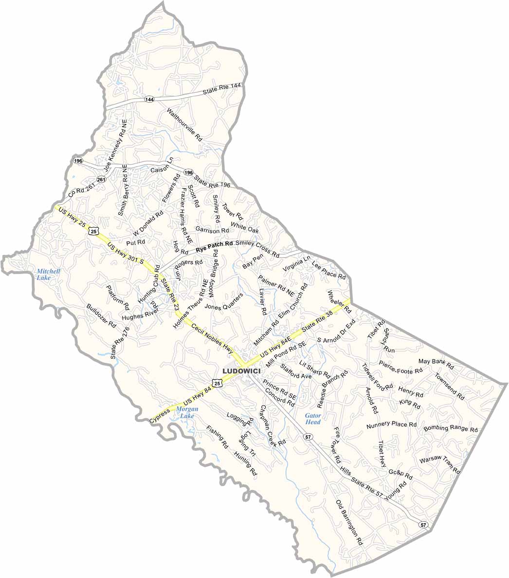 Long County Map, US County Maps