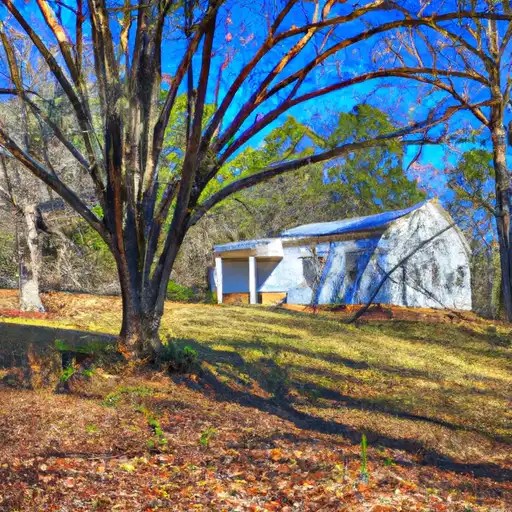 USDA Home Loan Eligible Regions of Jasper County,