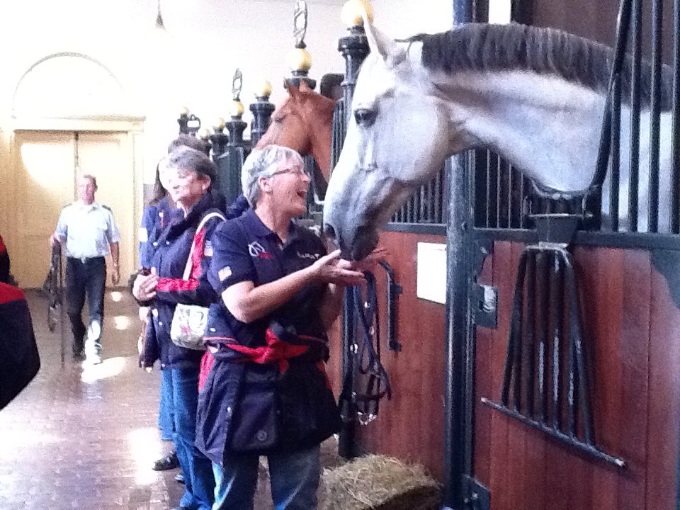 Team USA leaves Marie & Koos de Ronde's stables for Breda United States Driving for the Disabled