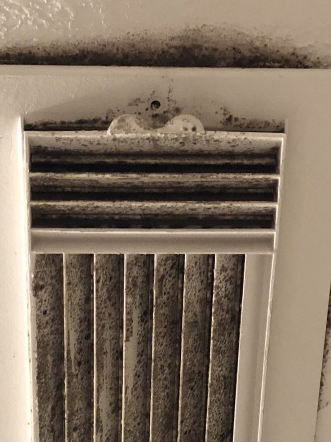 Streetlane Homes Real Estate Directory Real Estate Agent Reviews