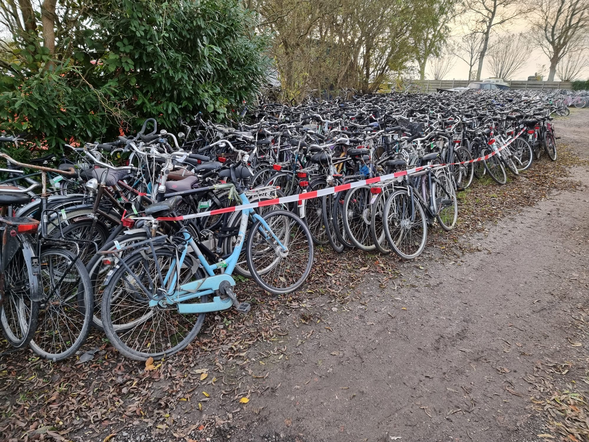 4000 used bikes for export Used Bicycle Export