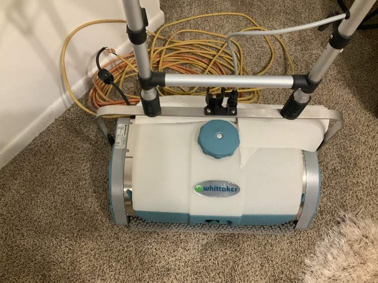 Whittaker Carpet Machine Carpet Vidalondon