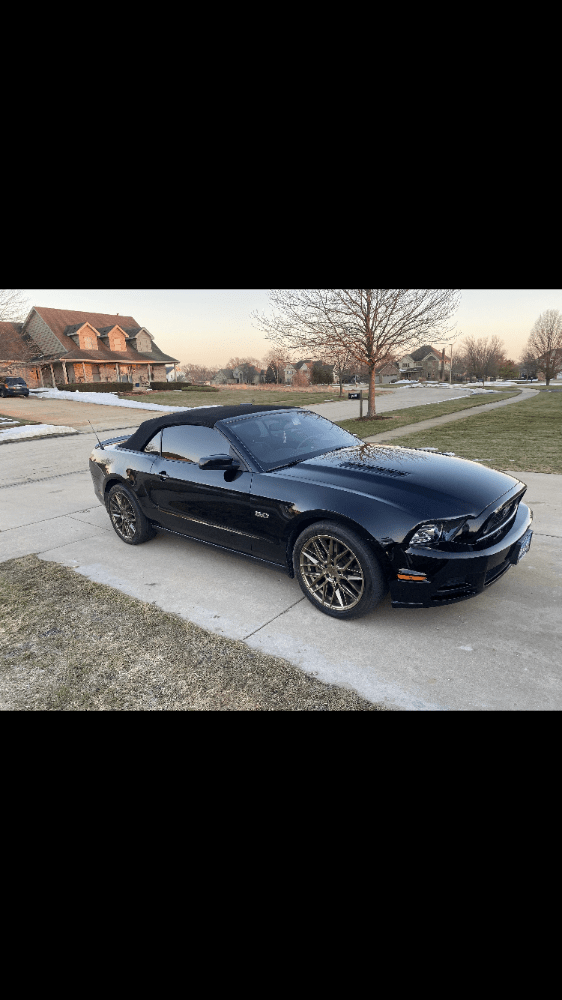 Used Mustang For Sale Used Ford Mustangs For Sale Classic Ford