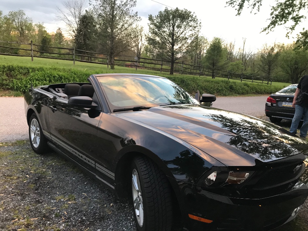 Used Mustang For Sale Used Ford Mustangs For Sale Classic Ford