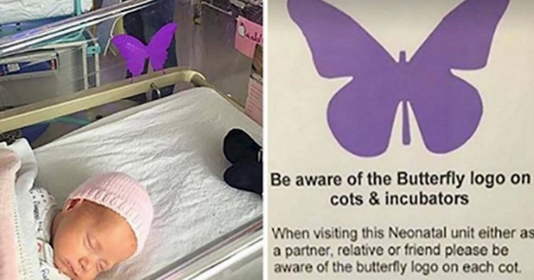 If You See A Purple Butterfly Sticker Near A Newborn, You Need To Know