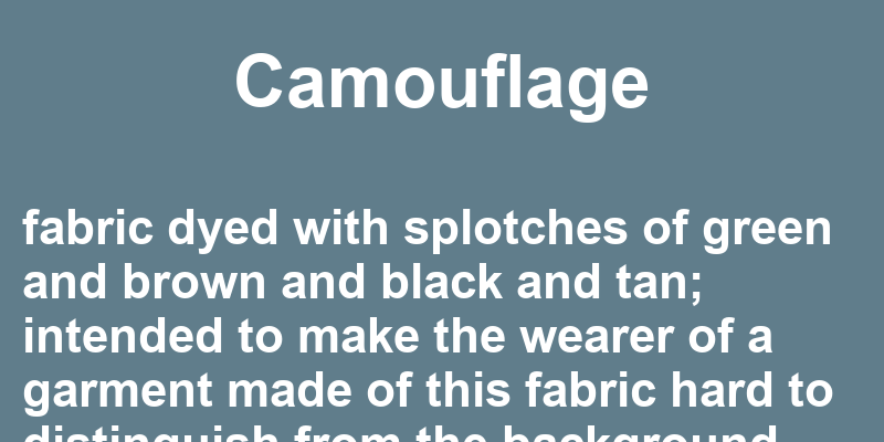 Camouflage in a Sentence 42 Real Example Sentences