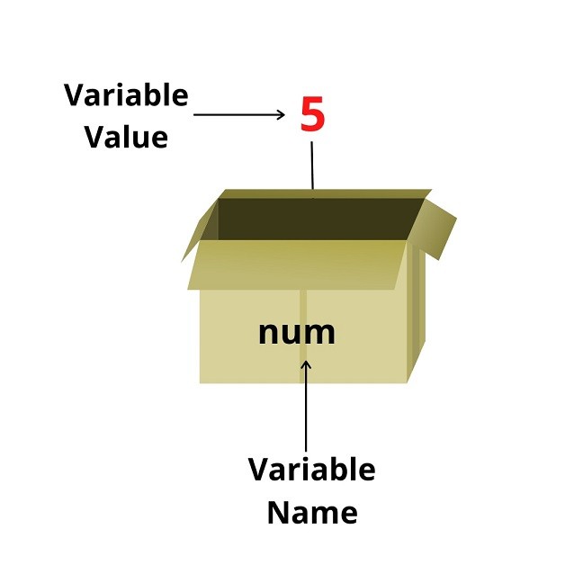 What are Variables in JavaScript? UseMyNotes