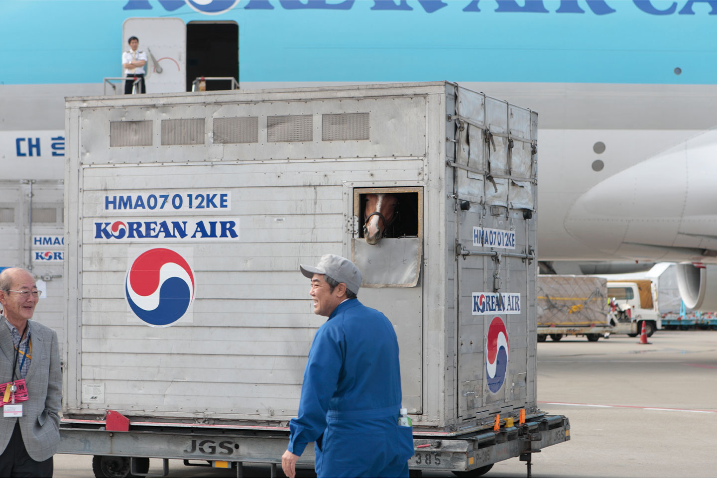 Service U.S. Equine Worldwide Transporters and Agents