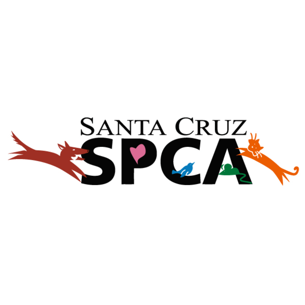 Give To Santa Cruz Spca | Human Race Of Santa Cruz County