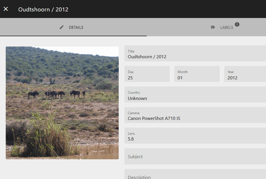 UI see the picture while editing labels · photoprism photoprism