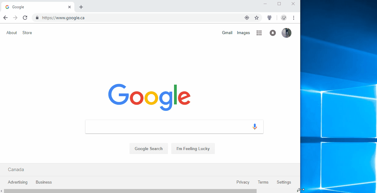 Puppeteer launched Chrome window doesn't resize viewport on window
