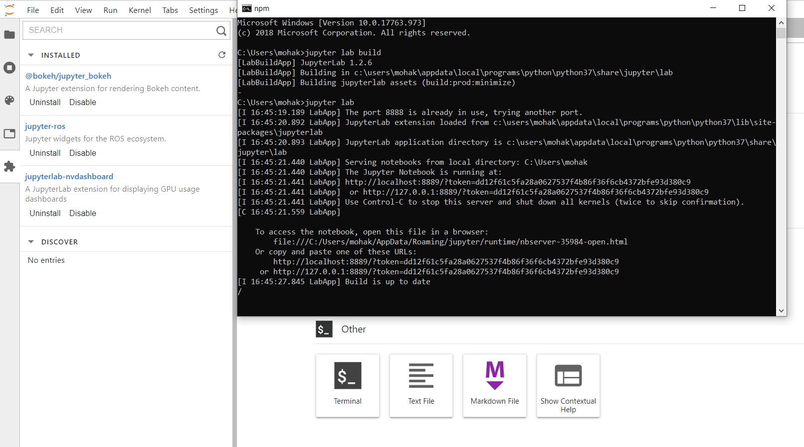 blank content · Issue 24 · rapidsai/jupyterlabnvdashboard · GitHub