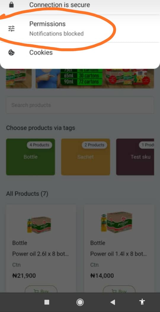 Installing twa blocks notification permission · Issue 541
