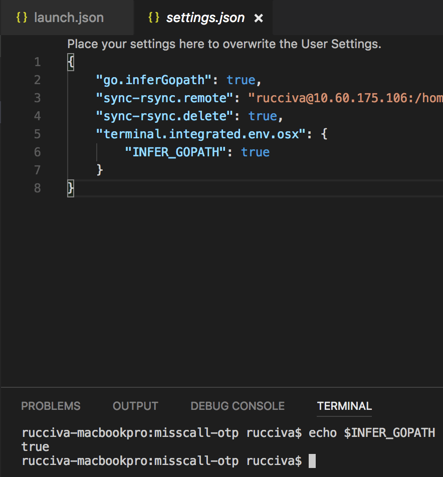 Set environment variable before starting a terminal · Issue 14973