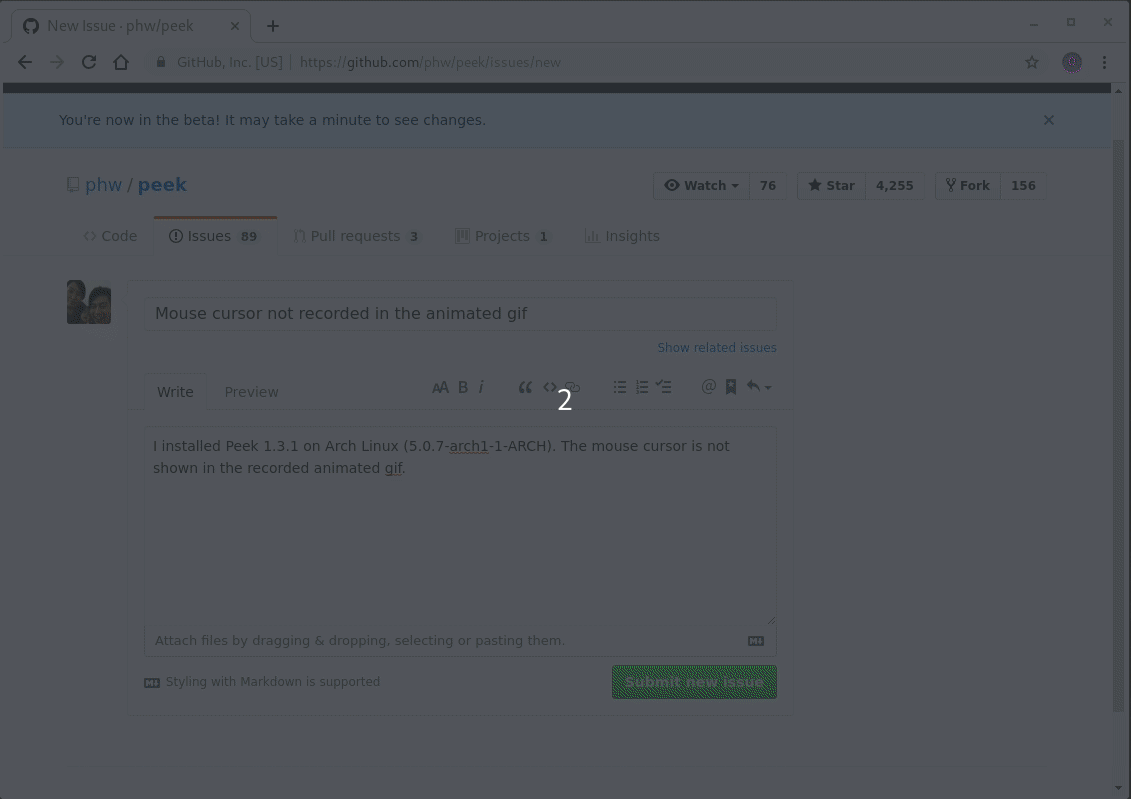 Mouse cursor not recorded in the animated gif · Issue 430