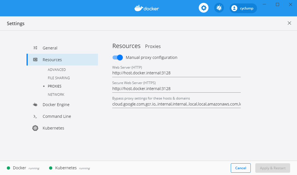 Docker GUI does not start properly with specific values in the no_proxy