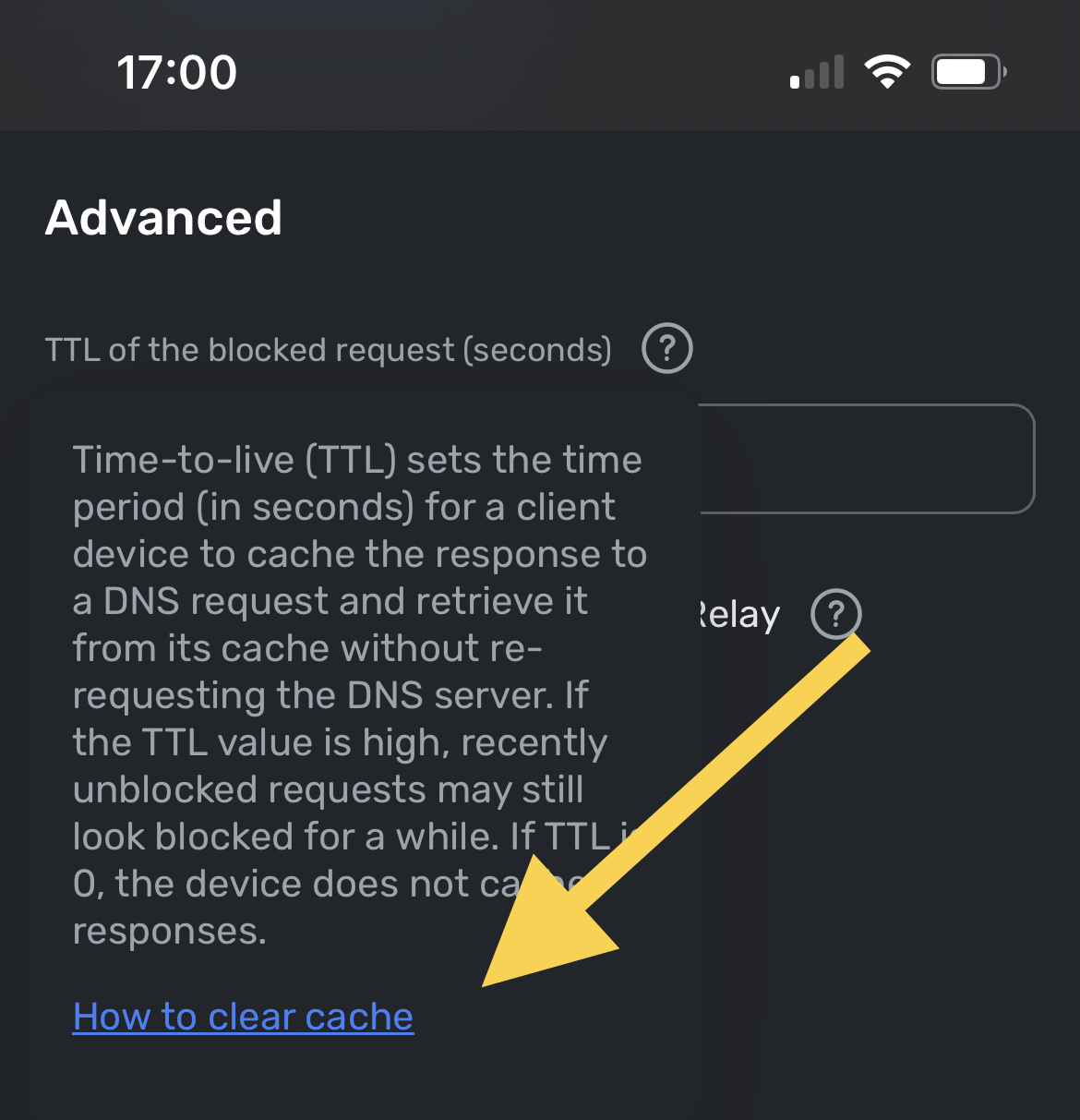 Consider writing a guide on flushing DNS cache to avoid using third