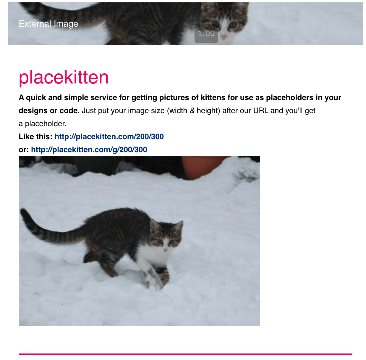 Images not rendering from URL when source is HTML string