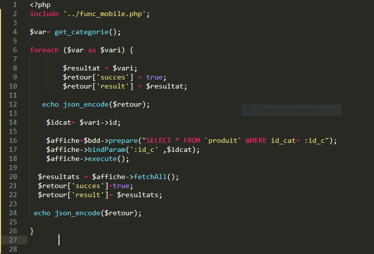 Api rest avec PHP simples Erreur Syntaxe de mon code PHP